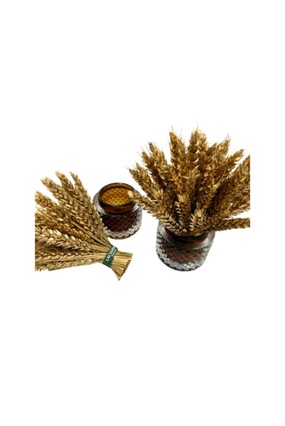 Coupelles de Blé – Doré