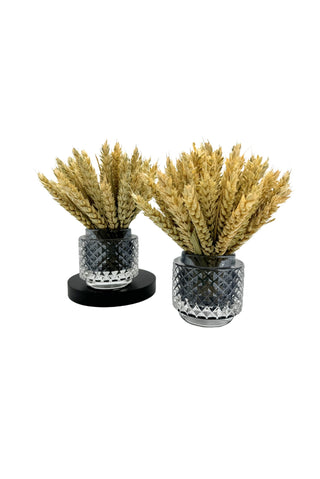 Coupelles de Blé – Naturel