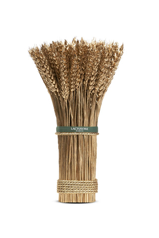 Blé Totem – Doré