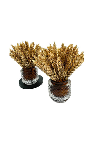 Coupelles de Blé – Doré