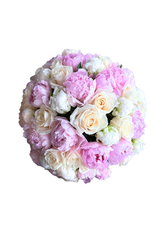 Pivoines Pastel