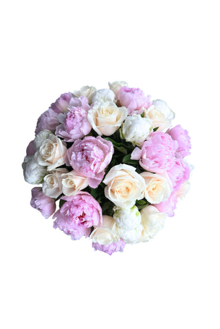 Pivoines Pastel