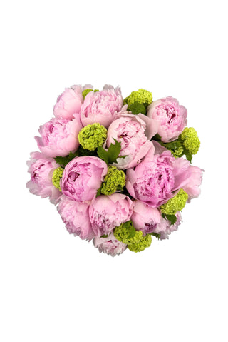 Pivoines Printemps