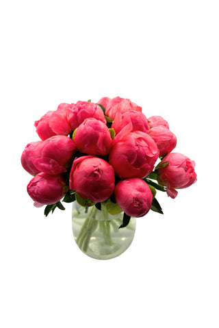 Pivoines Corail