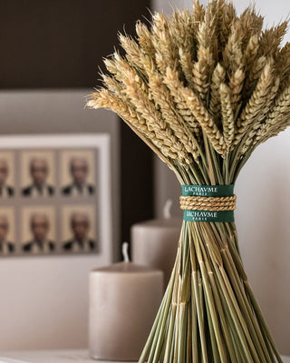 Bouquet Blé Naturel taille 2 – Maison Lachaume
