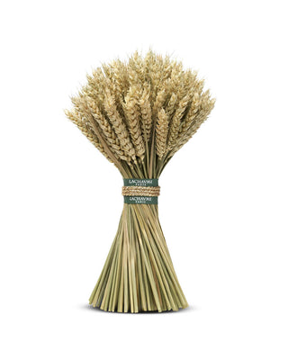 Bouquet Blé Naturel taille 2 – Maison Lachaume